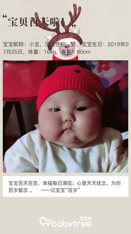 journal_insert_pic_1121273601