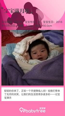 journal_insert_pic_1123282463