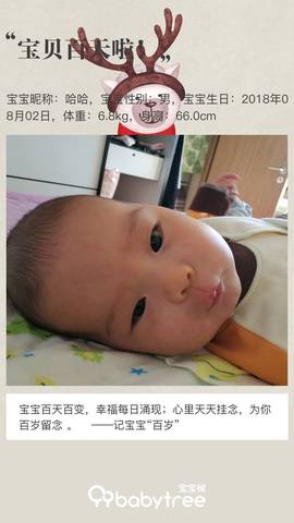 journal_insert_pic_1123646215