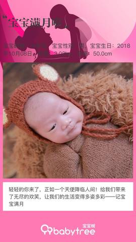 journal_insert_pic_1125852046