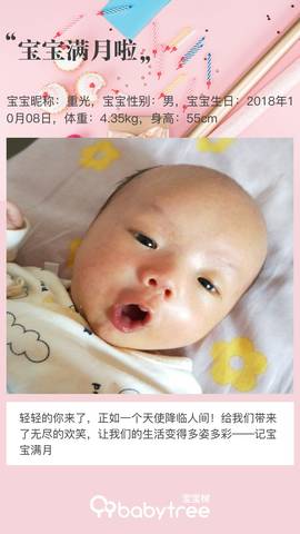 journal_insert_pic_1125862401
