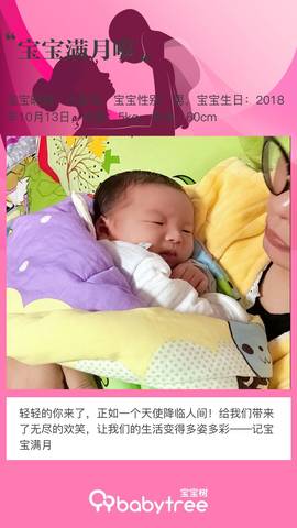 journal_insert_pic_1126615098