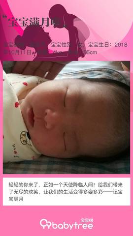 journal_insert_pic_1127863221