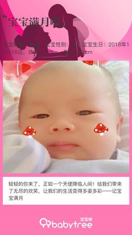 journal_insert_pic_1128889096