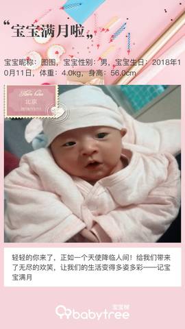 journal_insert_pic_1129183319