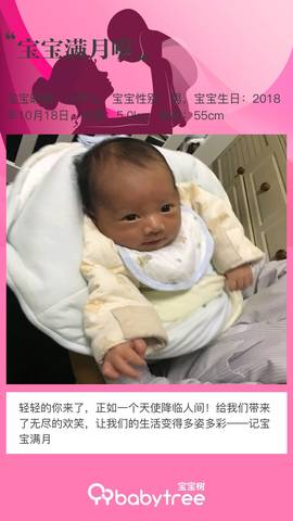 journal_insert_pic_1129413161