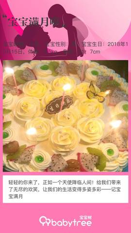 journal_insert_pic_1129830613