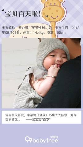 journal_insert_pic_1129568818