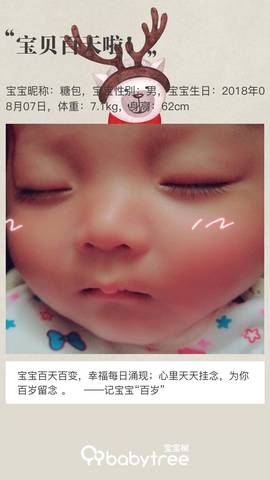 journal_insert_pic_1130148879