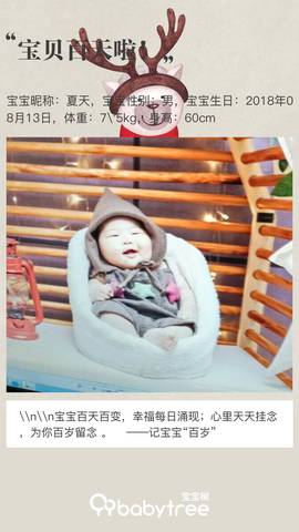 journal_insert_pic_1131544614