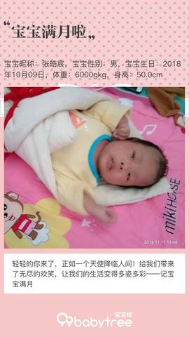 journal_insert_pic_1131396455
