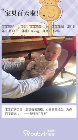 journal_insert_pic_1131589331
