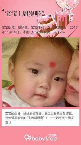 journal_insert_pic_1131422920