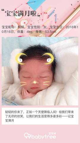 journal_insert_pic_1131441336