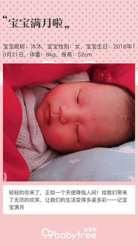 journal_insert_pic_1131914163
