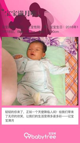 journal_insert_pic_1132469435