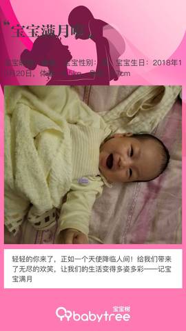 journal_insert_pic_1133070064