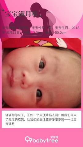 journal_insert_pic_1134379387