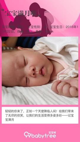 journal_insert_pic_1136272280