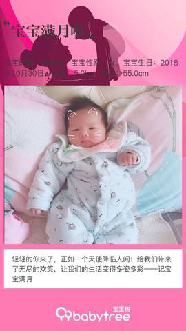 journal_insert_pic_1137313658