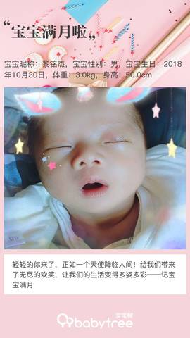 journal_insert_pic_1137284131