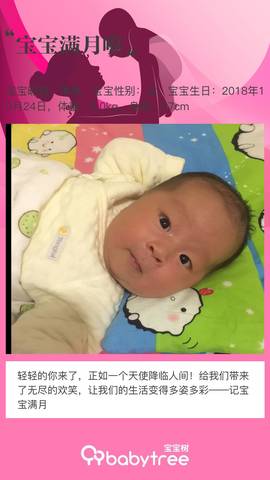 journal_insert_pic_1137422497