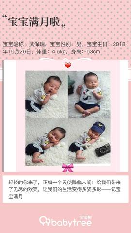 journal_insert_pic_1137995720