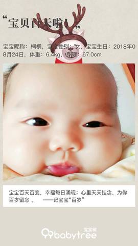 journal_insert_pic_1139179013