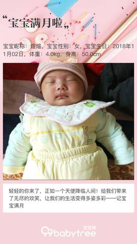 journal_insert_pic_1140125951