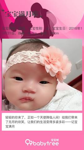 journal_insert_pic_1139418798