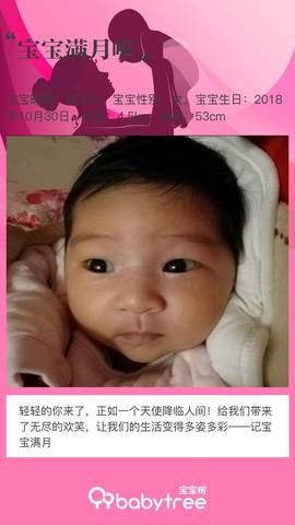 journal_insert_pic_1139457268