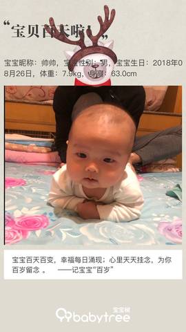 journal_insert_pic_1141324058