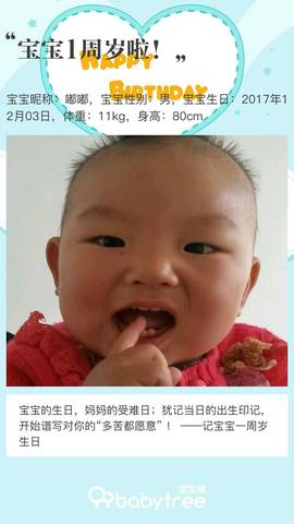 journal_insert_pic_1141263367