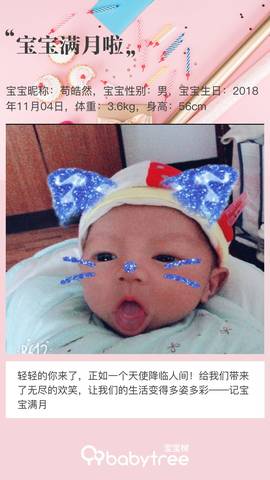 journal_insert_pic_1141280925