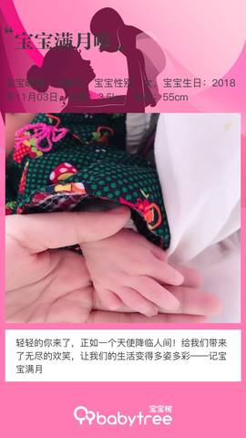 journal_insert_pic_1142543106