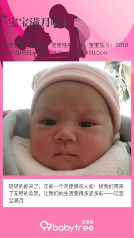 journal_insert_pic_1142504586