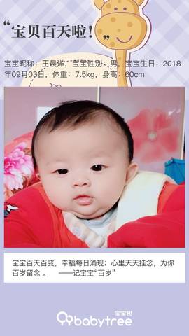 journal_insert_pic_1144252376