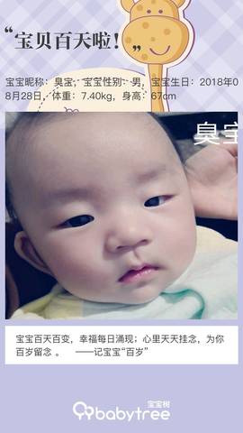 journal_insert_pic_1144323017