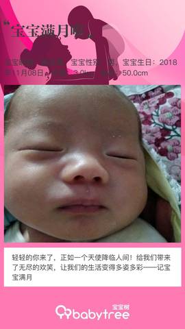 journal_insert_pic_1145224858