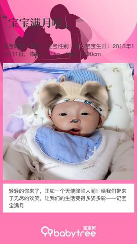 journal_insert_pic_1146771784