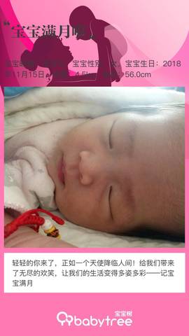 journal_insert_pic_1147153553