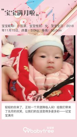 journal_insert_pic_1147825122
