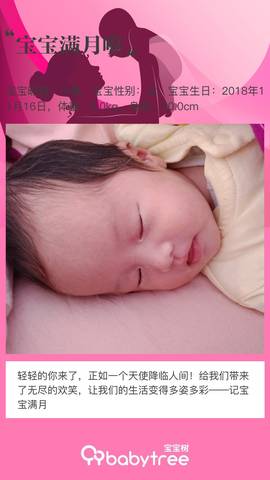 journal_insert_pic_1147825059