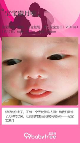 journal_insert_pic_1148063633