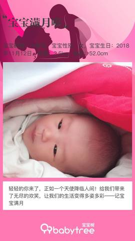 journal_insert_pic_1148315041