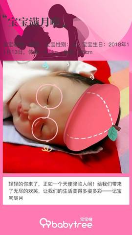 journal_insert_pic_1148741873