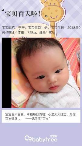 journal_insert_pic_1149953270