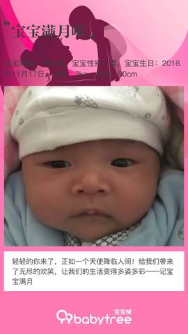 journal_insert_pic_1149802196