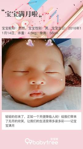journal_insert_pic_1149752490