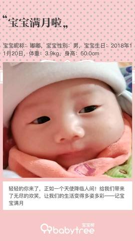 journal_insert_pic_1150308281